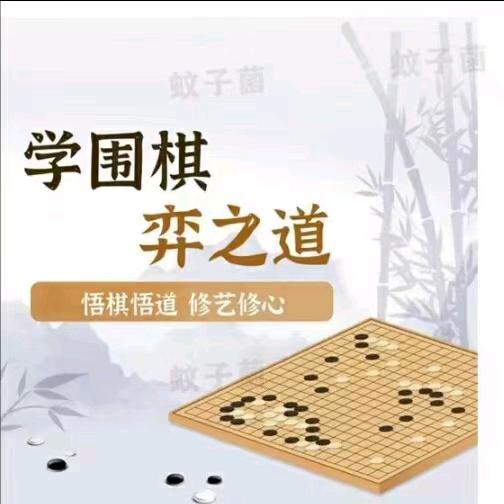 尔雅围棋书法美术丁老师