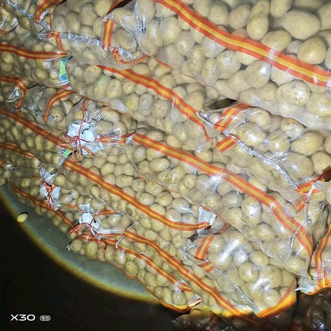 专业土豆代收小飞