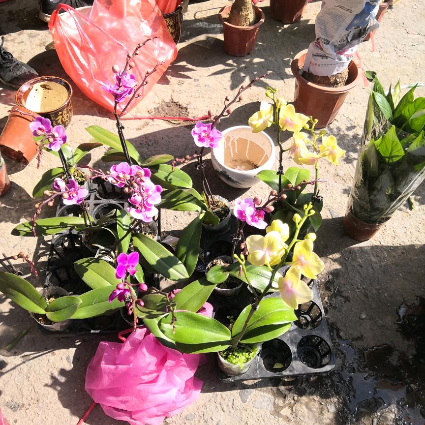 小玲玲好物优选