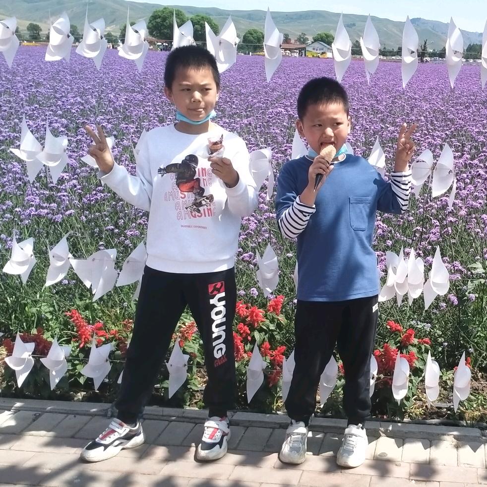 凤姐。