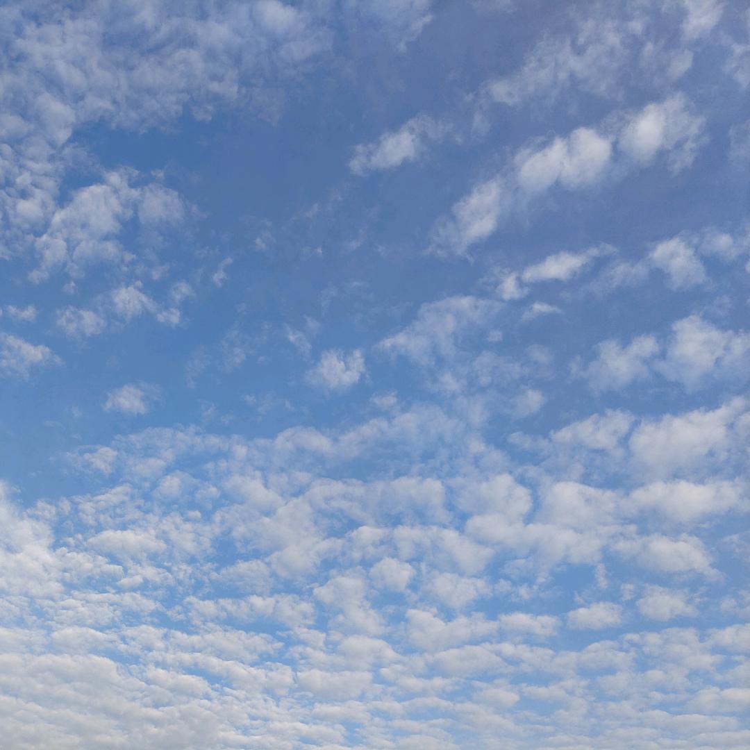 🌈🌈动起来...