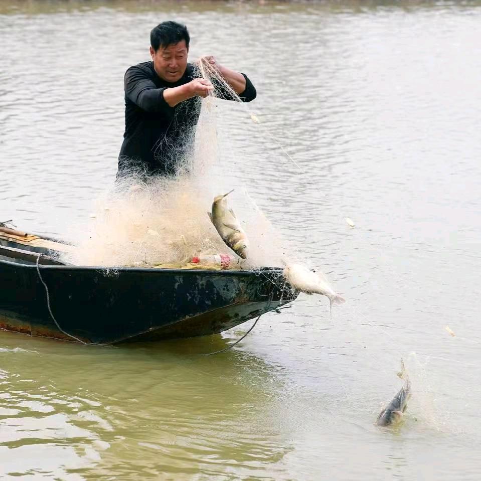 老刘炖鱼最鲜灵@抖音