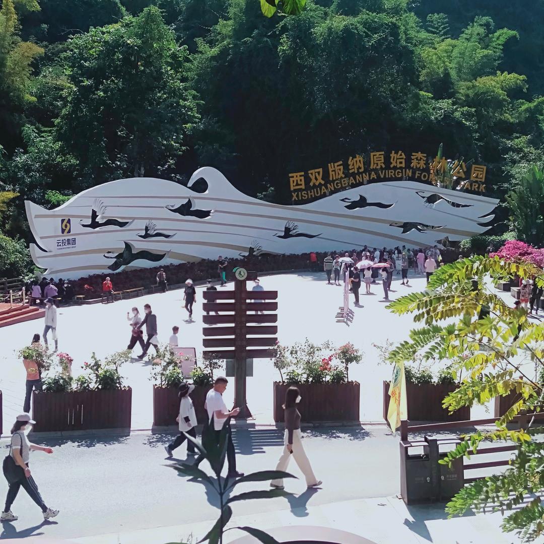 一个人挺好💪