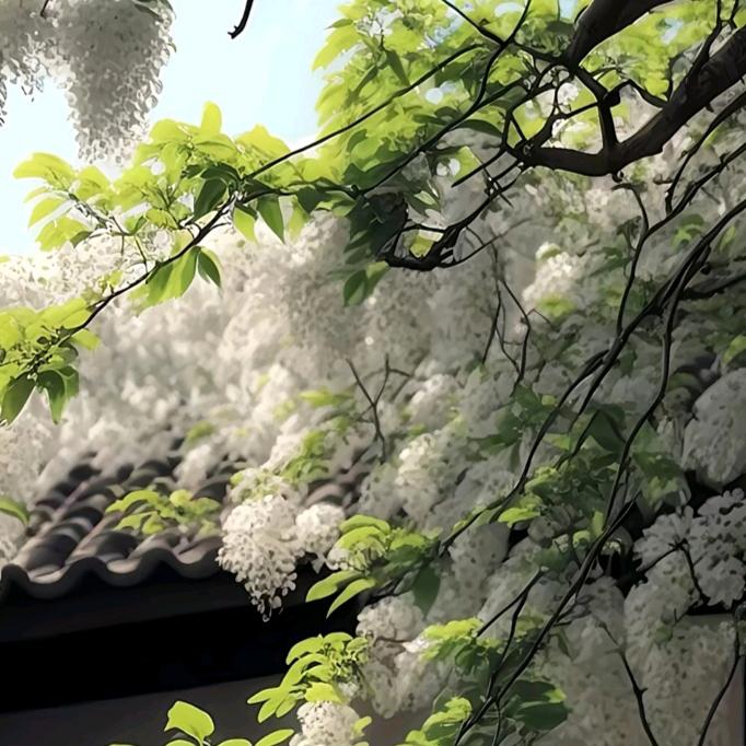 茫天然