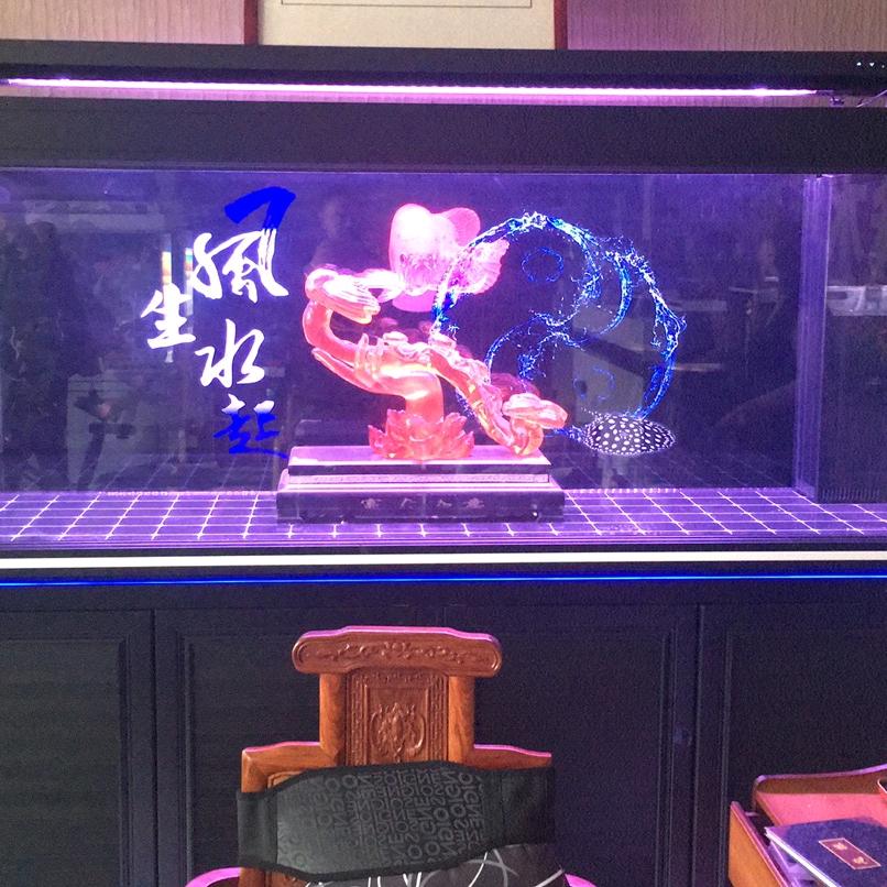 小棒子拔萝卜