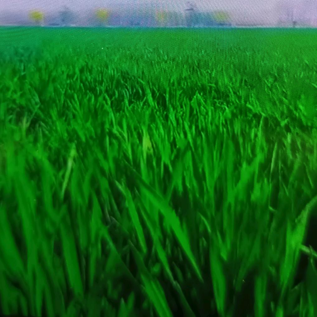 幸福日子从头再来