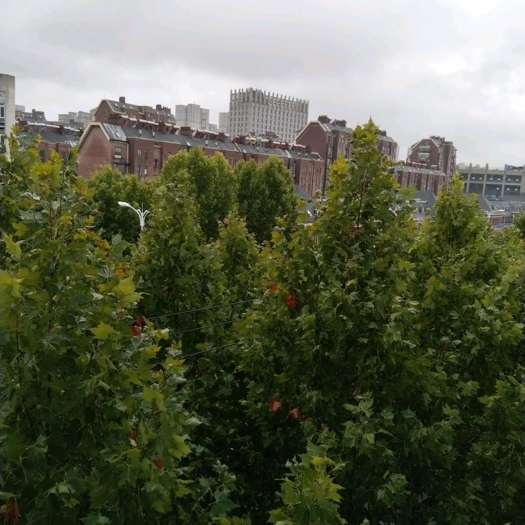陈爷爷