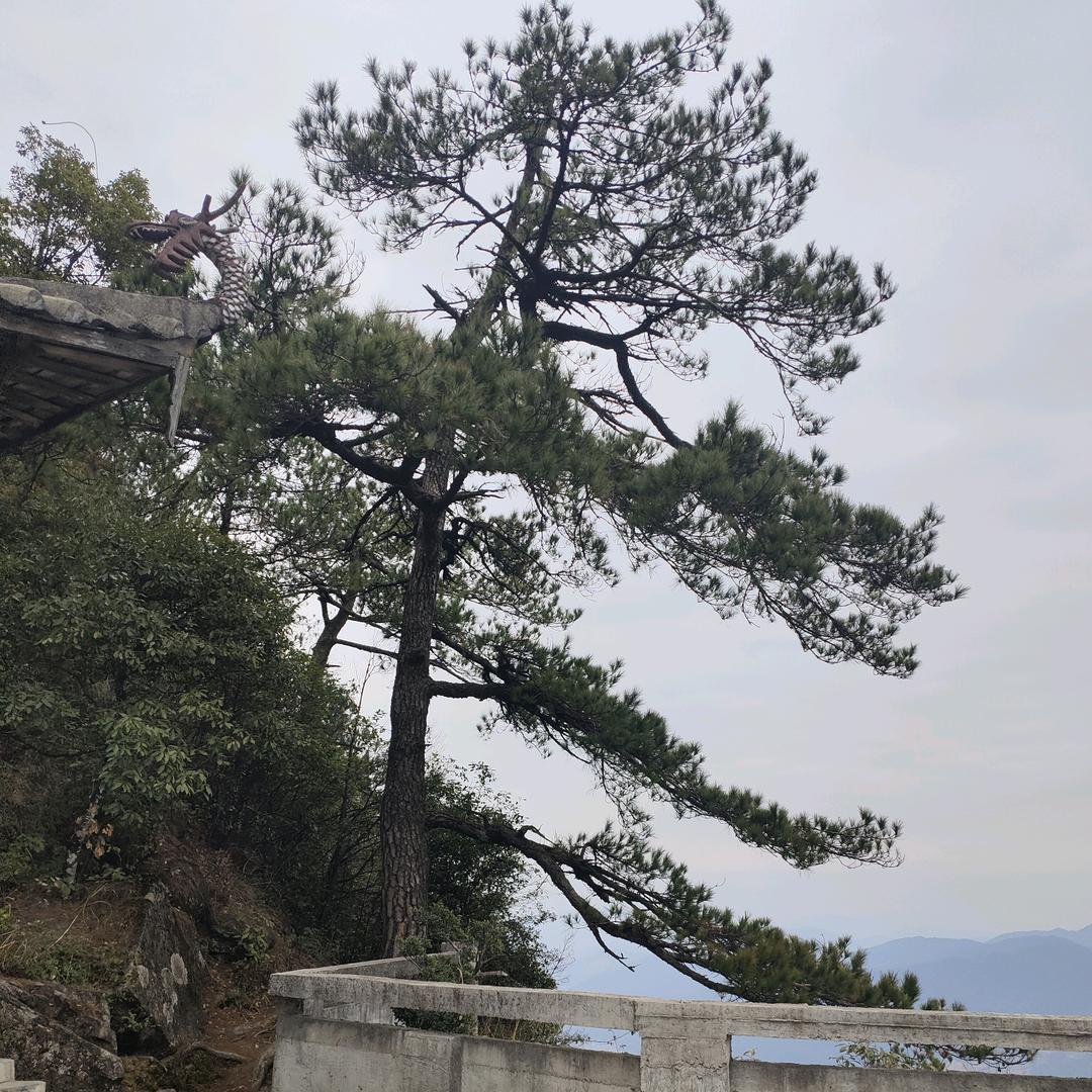 笑看人生