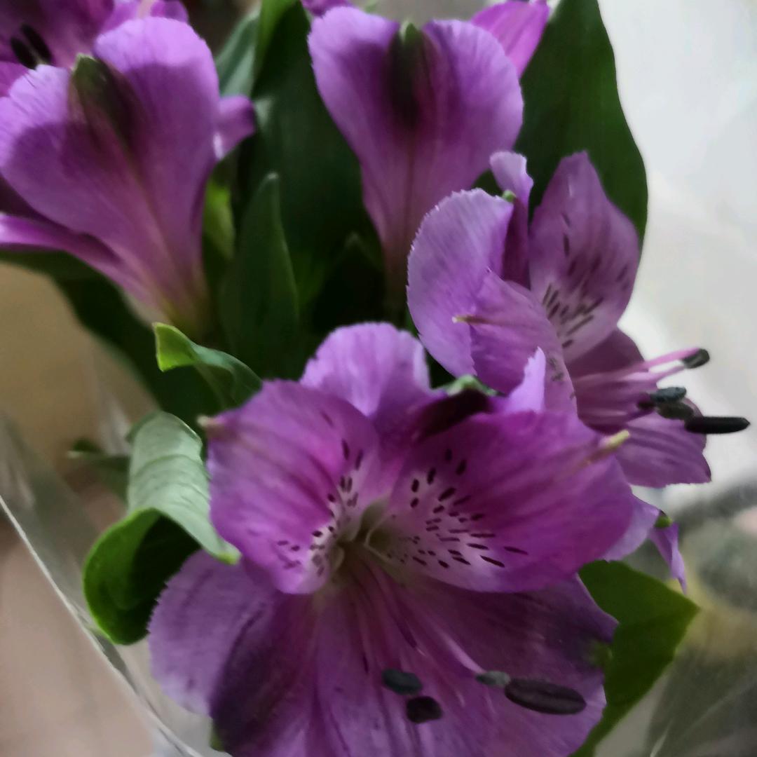 小孩子才做选择