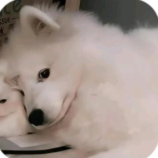 楠渊有鹿服装店