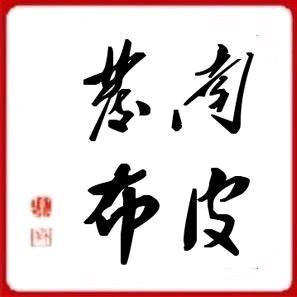 南皮发布