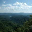 手机用户67568713546