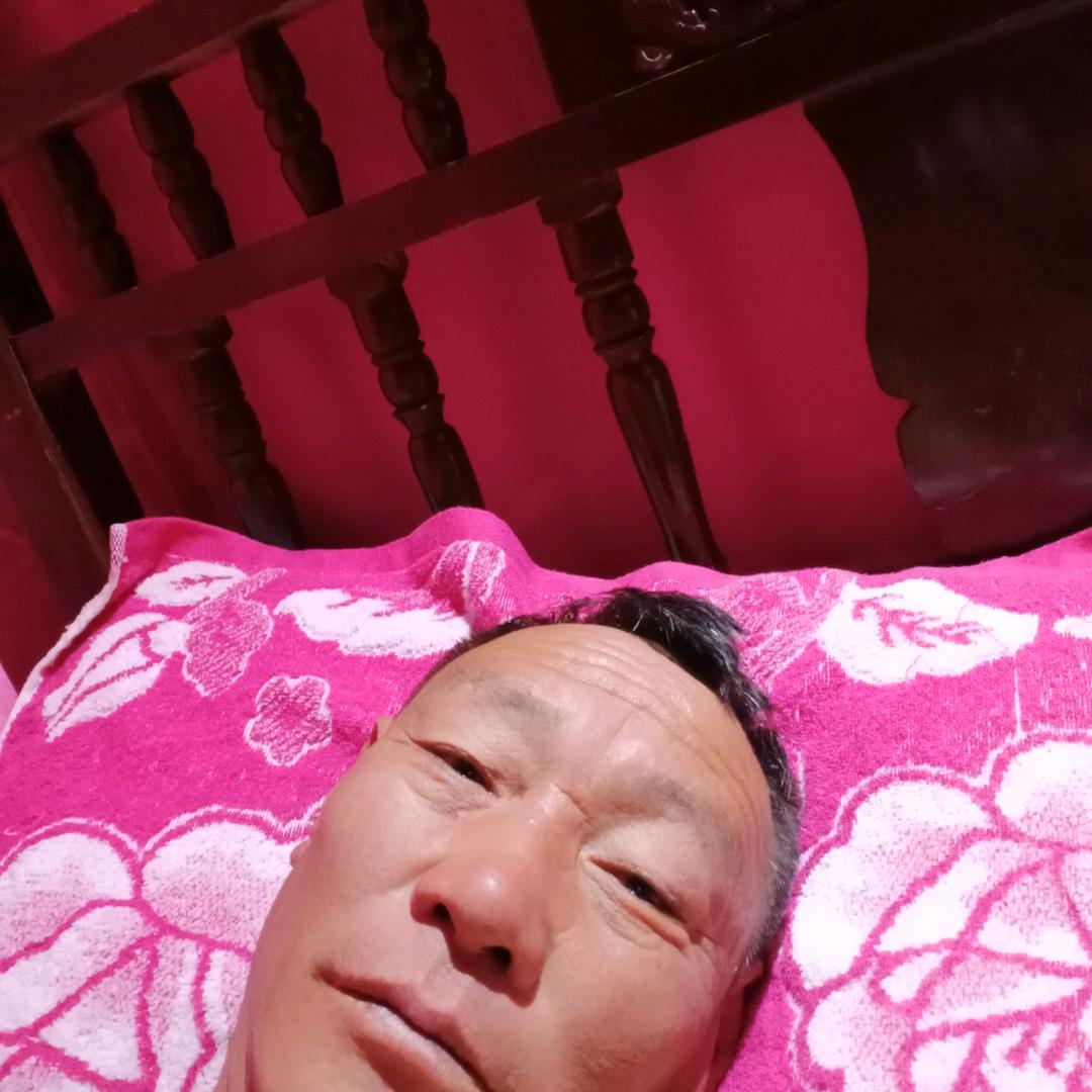 浪浪老王