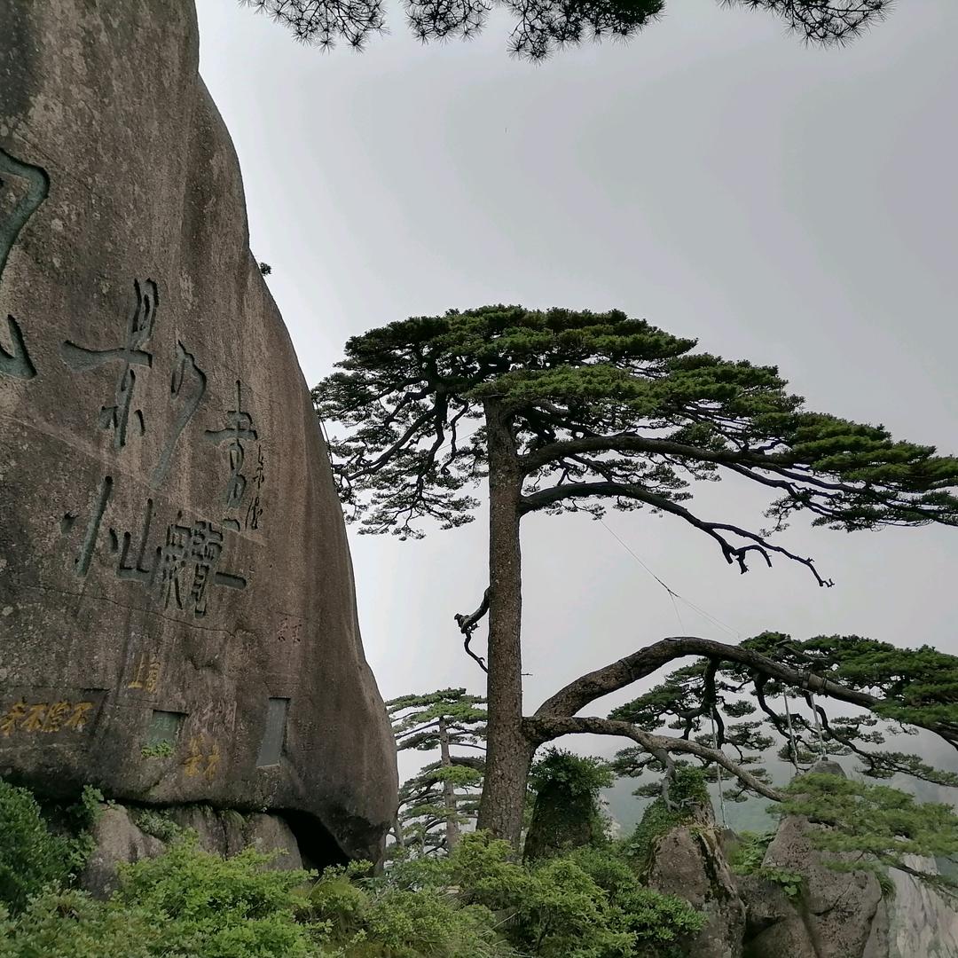 笑傲江湖用户589374