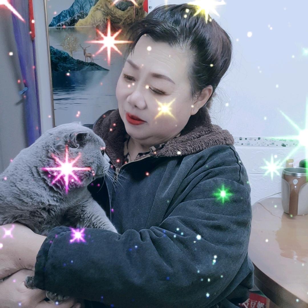 天天开心