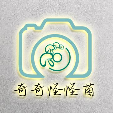 奇奇怪怪菌（智渊摄影）