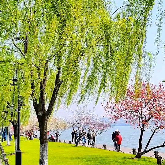 我是出了名的好人