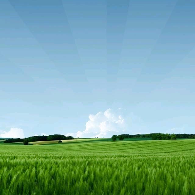 o0飞姐0o