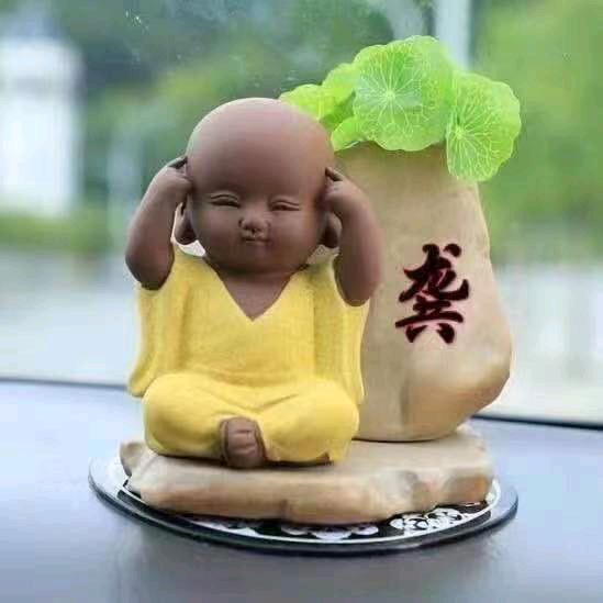 ↙回味人生