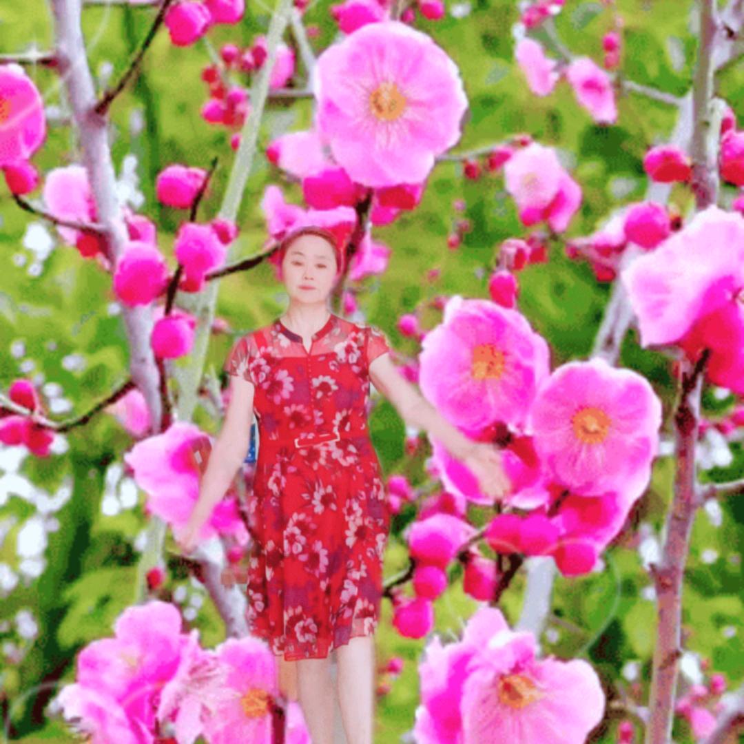 万事如意陈祖英🌹🌹🌹🇨🇳