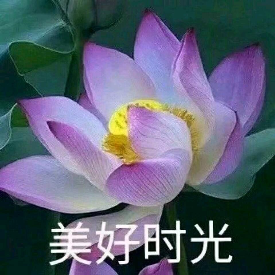 玉微