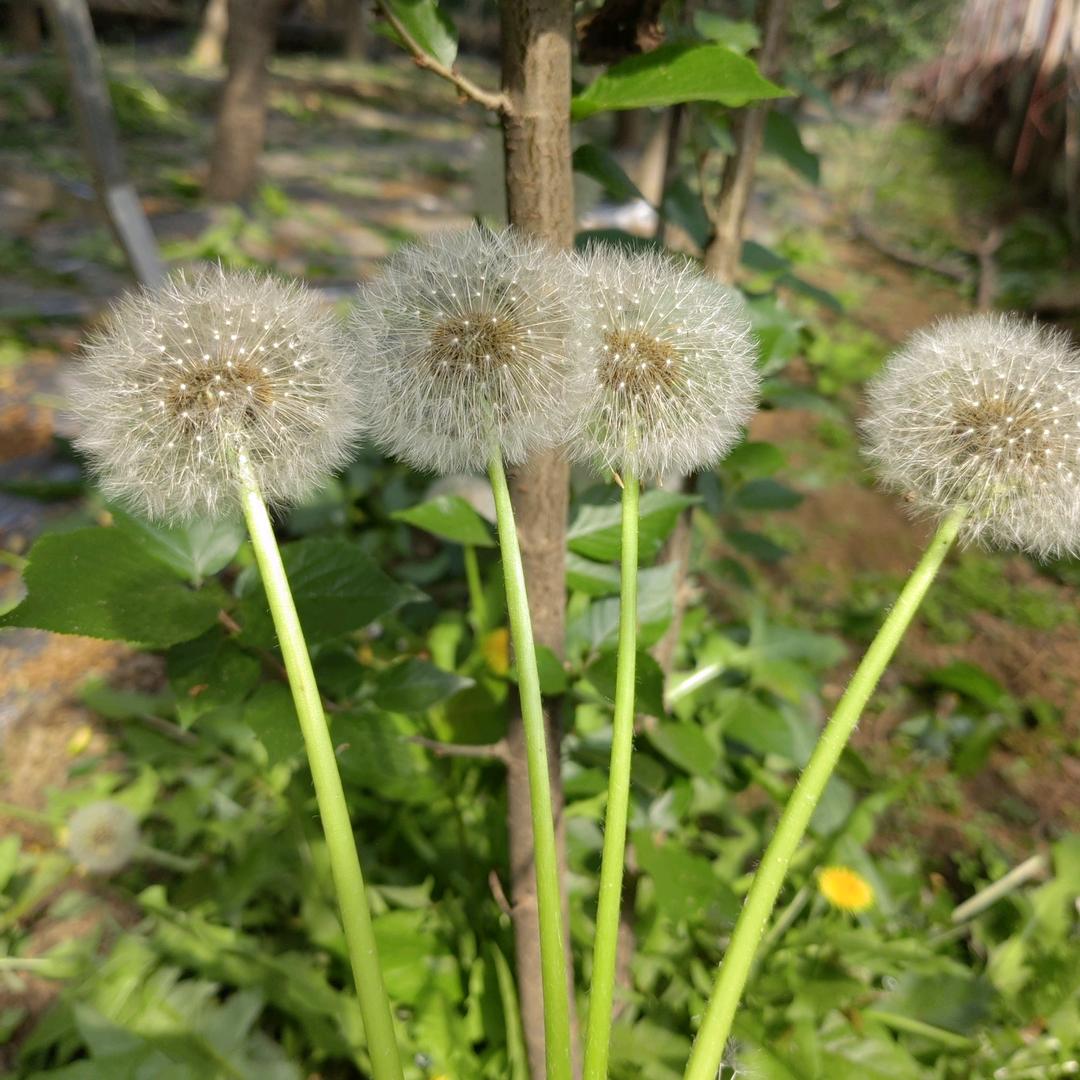 两个小宝贝用户27232927524