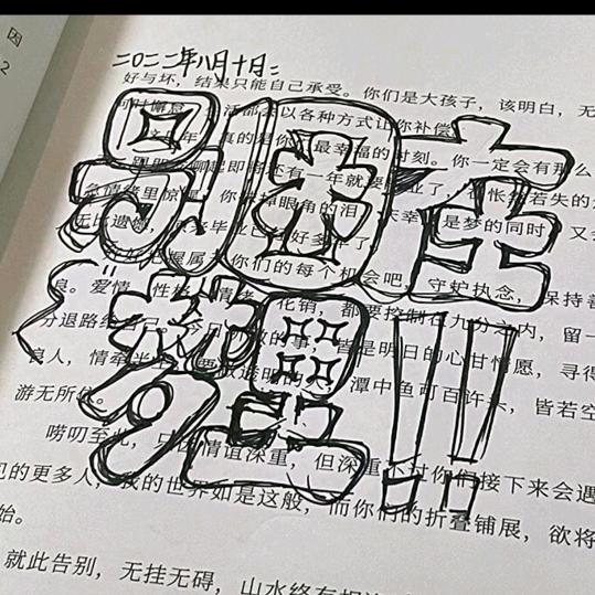 爱吃瓜的林头像
