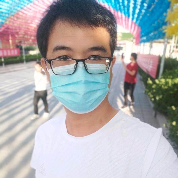 高价收清地苗木杨树