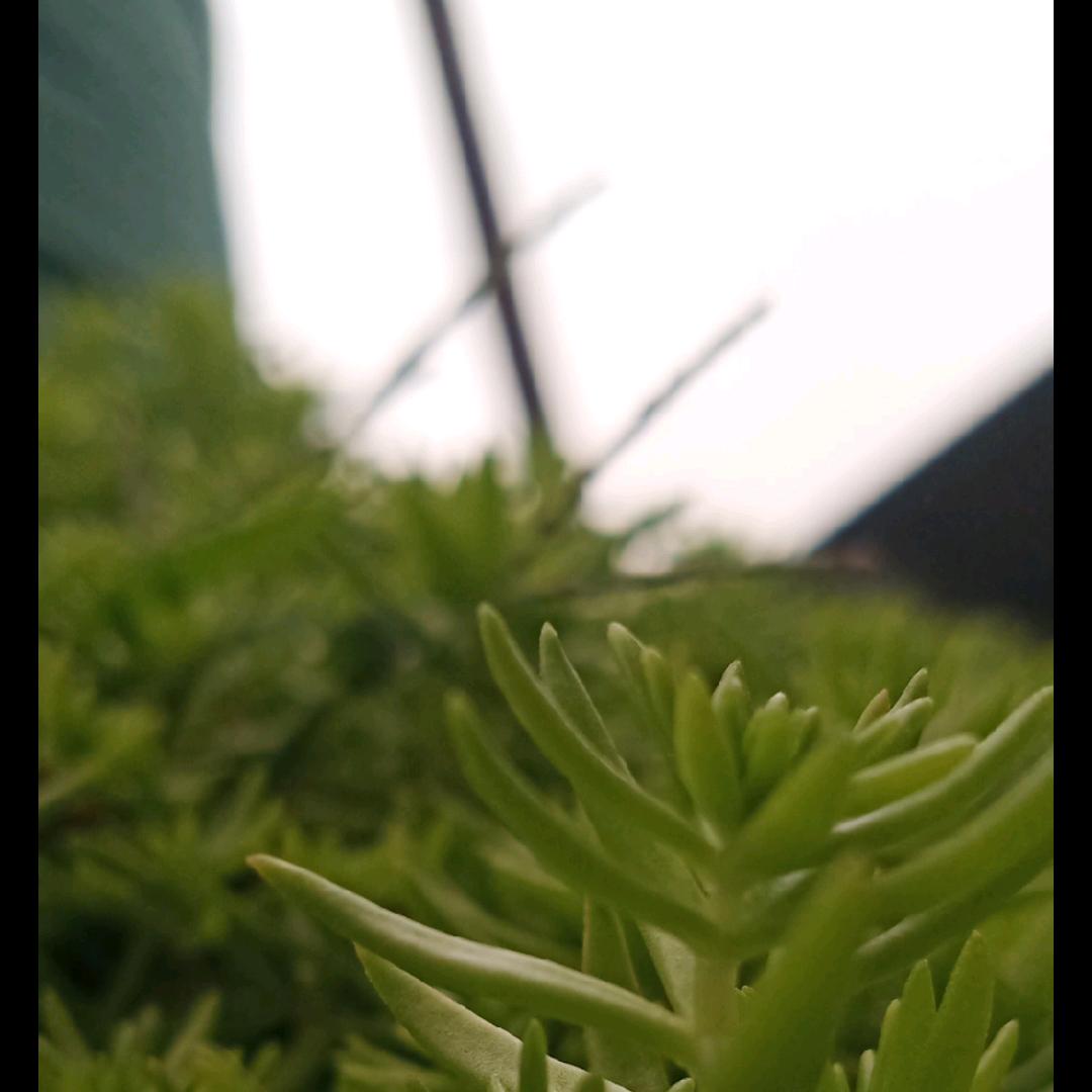 @এ᭄ꦿ꯭劉家姐姐꧔ꦿএ᭄💕