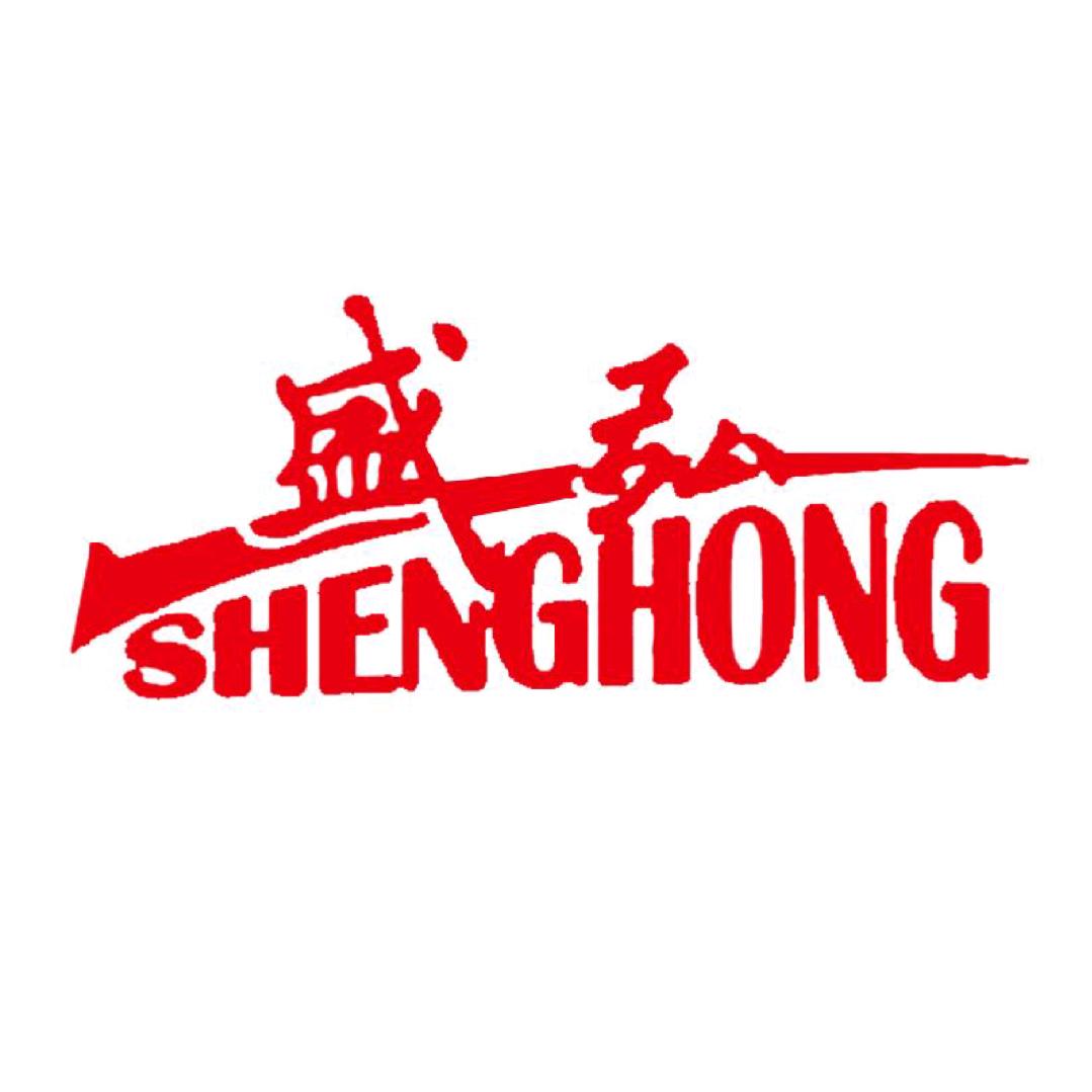 山东盛弘人才