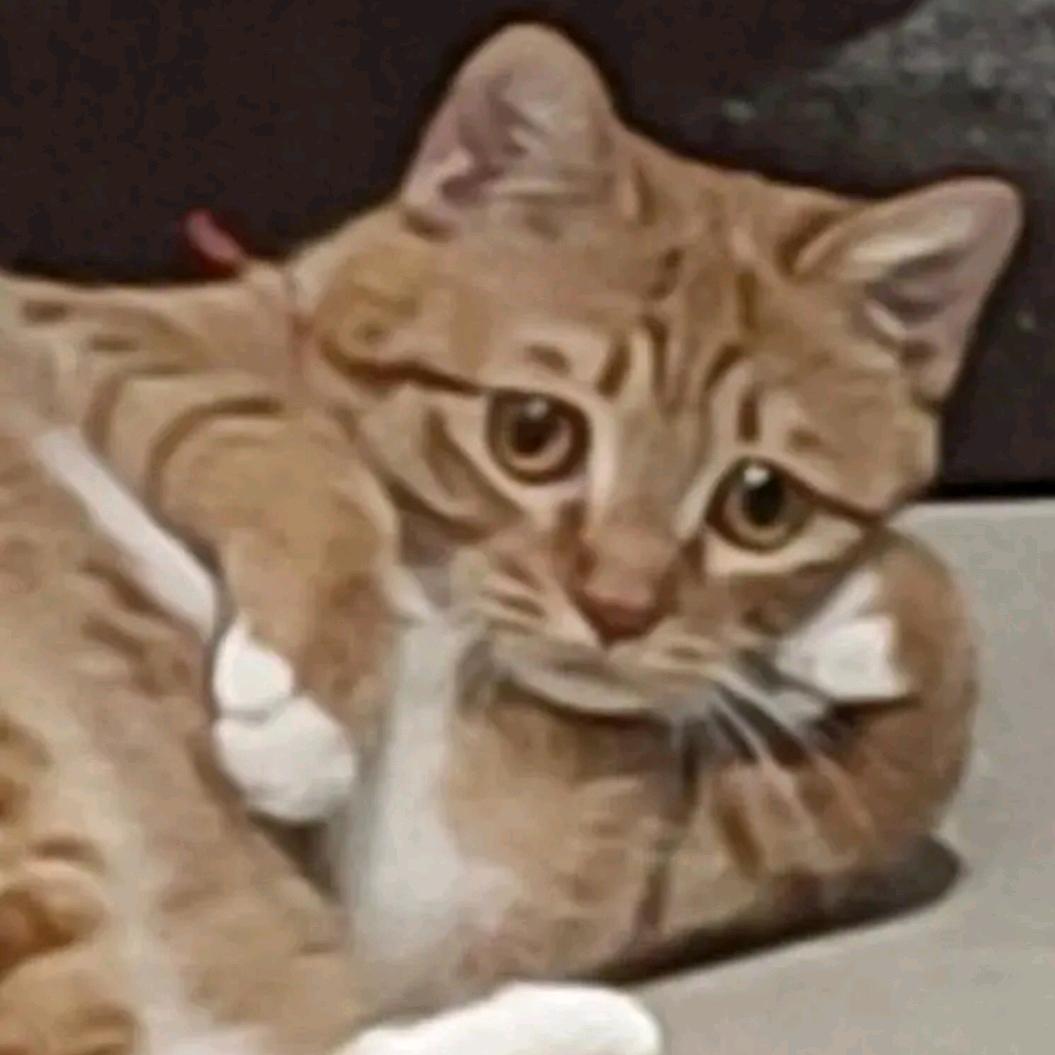 老是饿