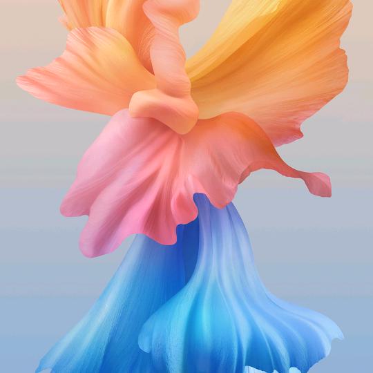 安安妈咪爱追剧