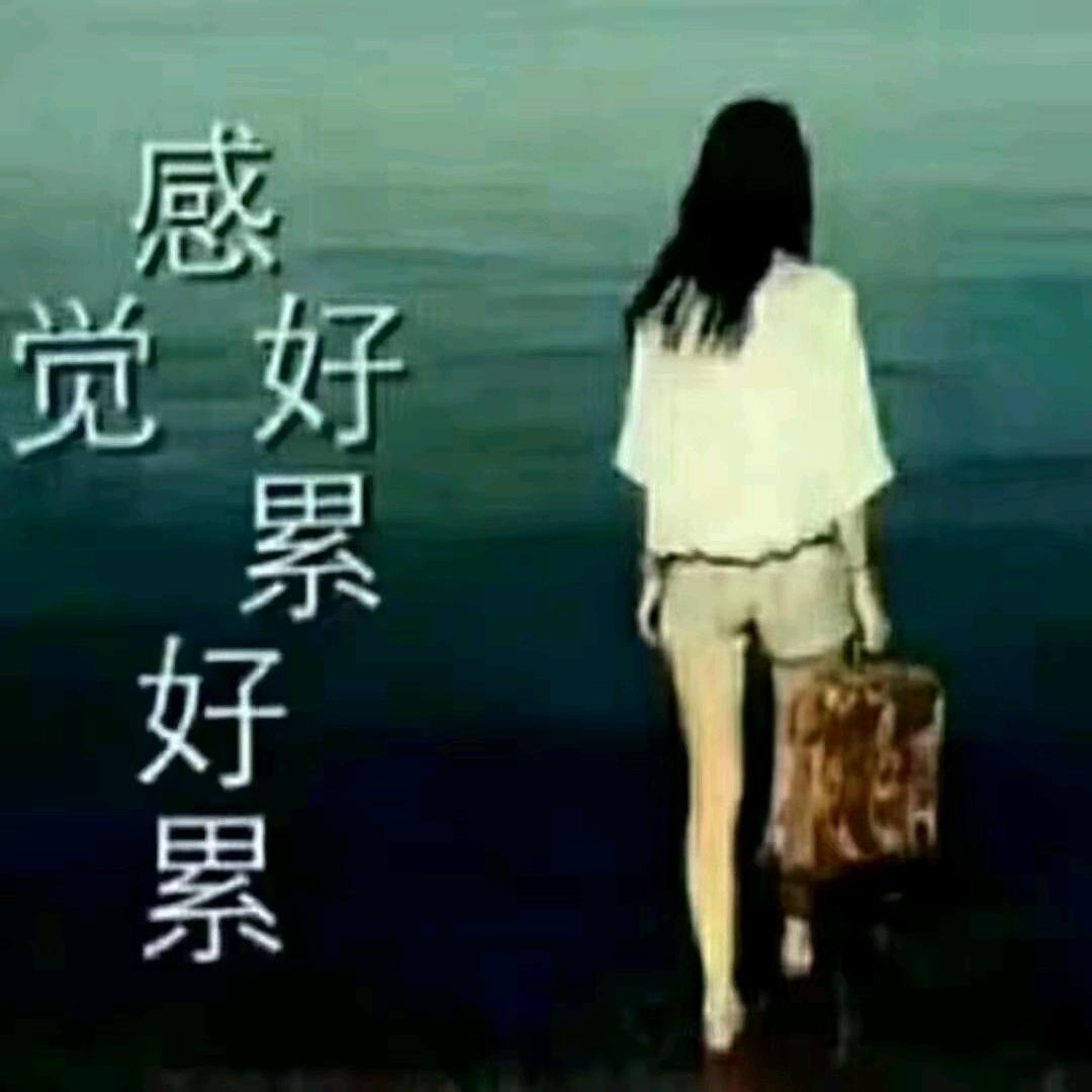 🌹一个人看日出🌹