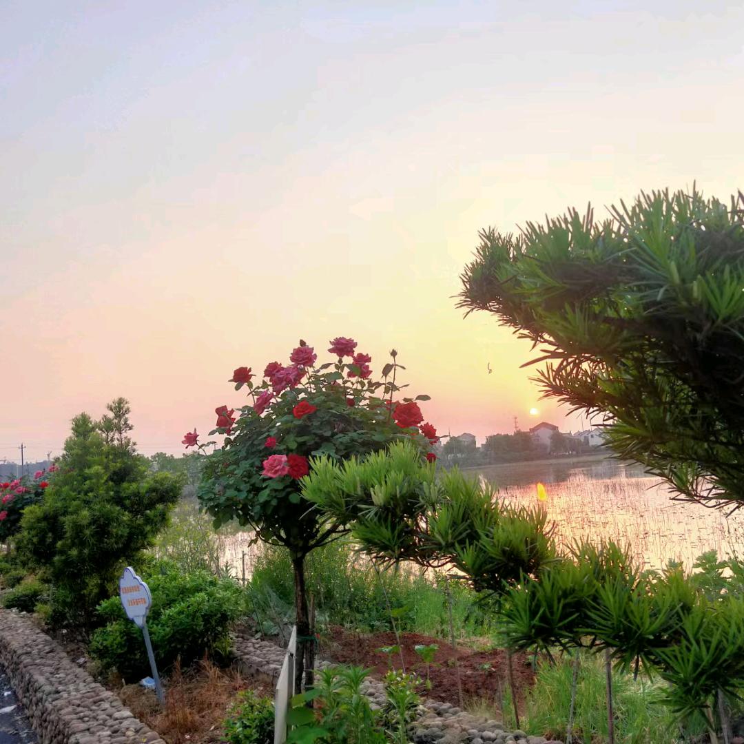 风景如画