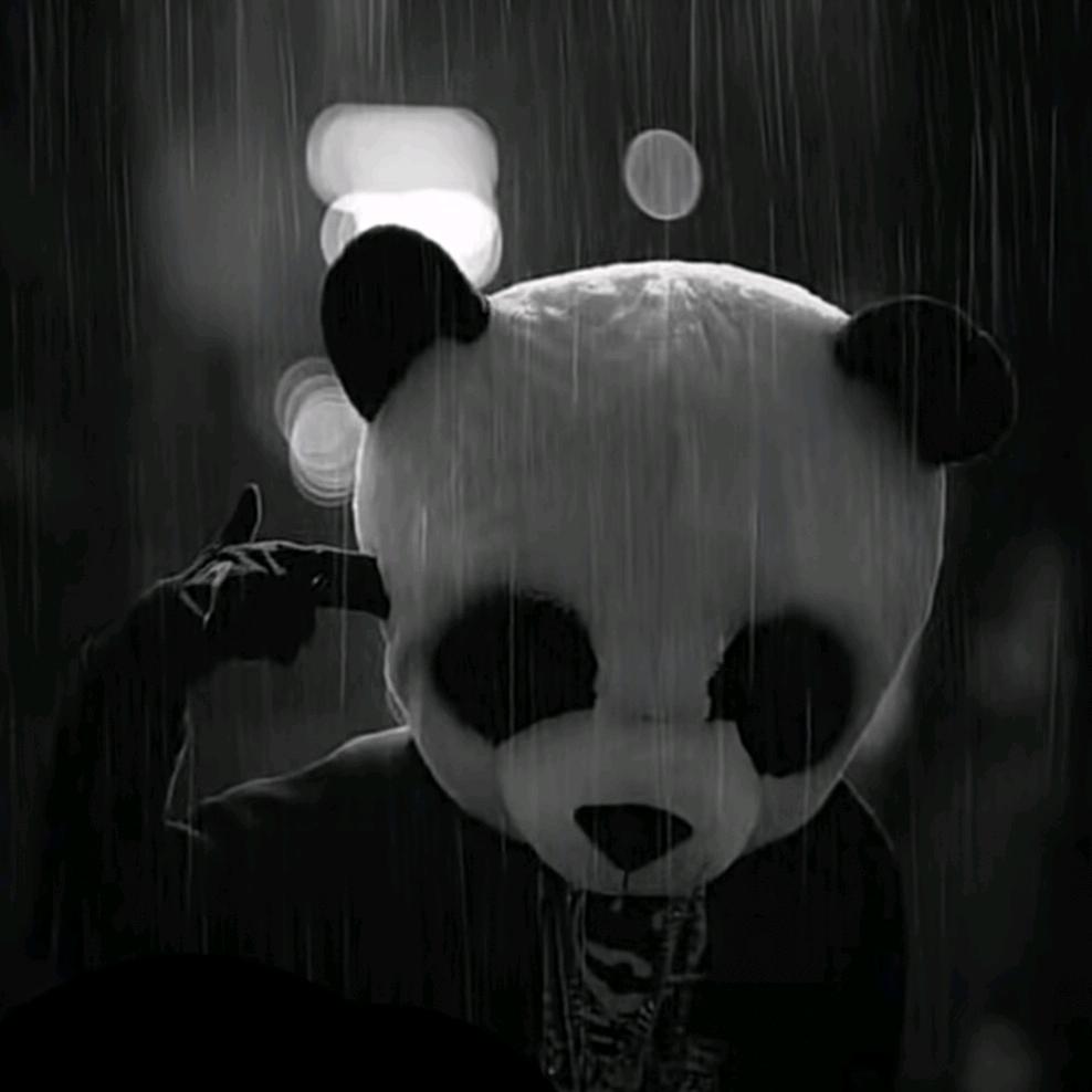 怹🎧