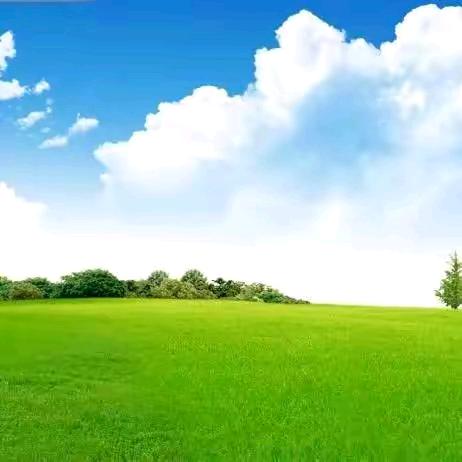 坝上🇨🇳草原