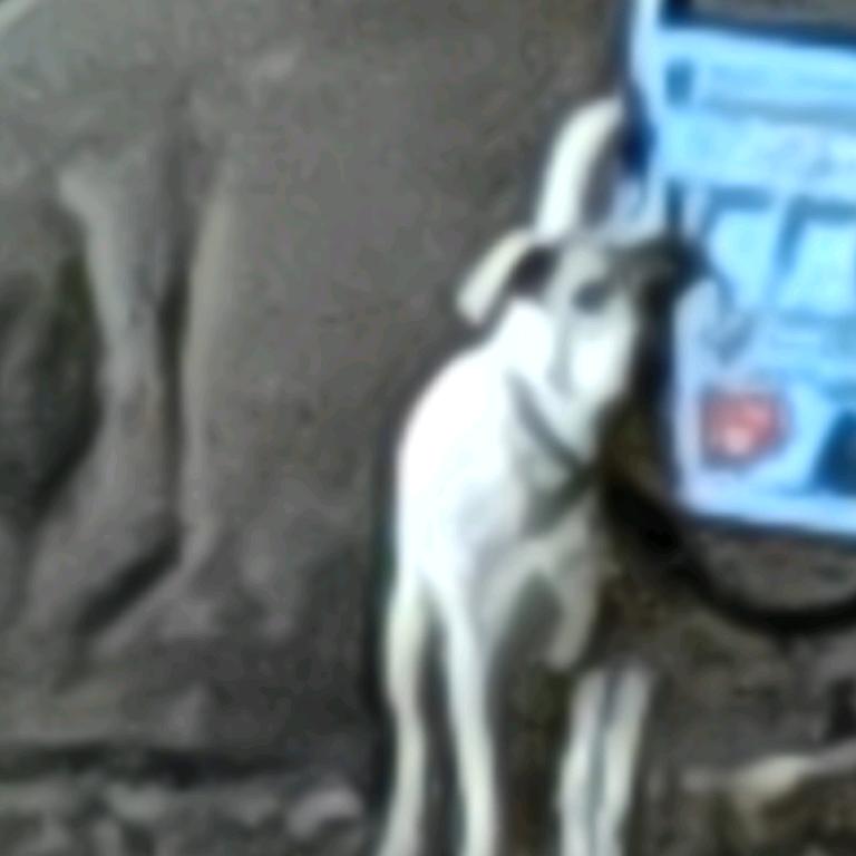 还有比吃饭更带劲的事情吗