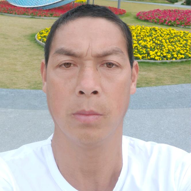 陈氏宗亲