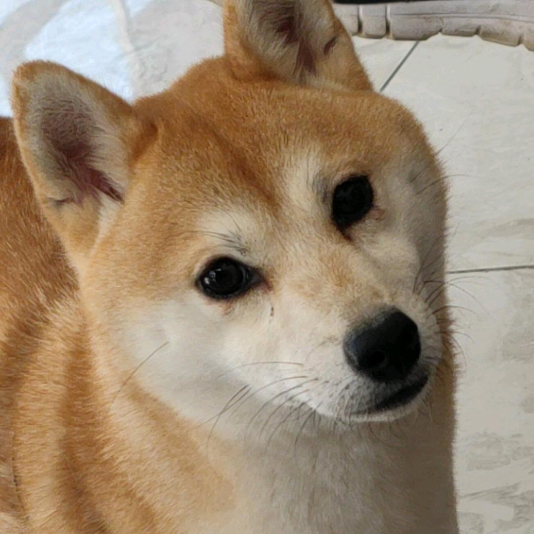 四平门口那家校服店