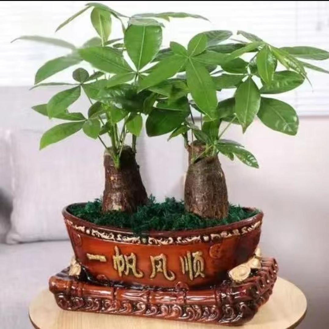马大姐