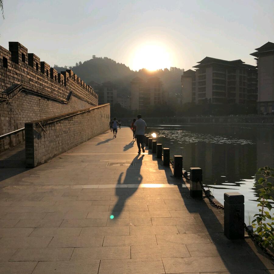 小陈路亚