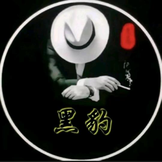 黑💫豹