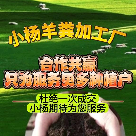 小杨羊粪加工厂