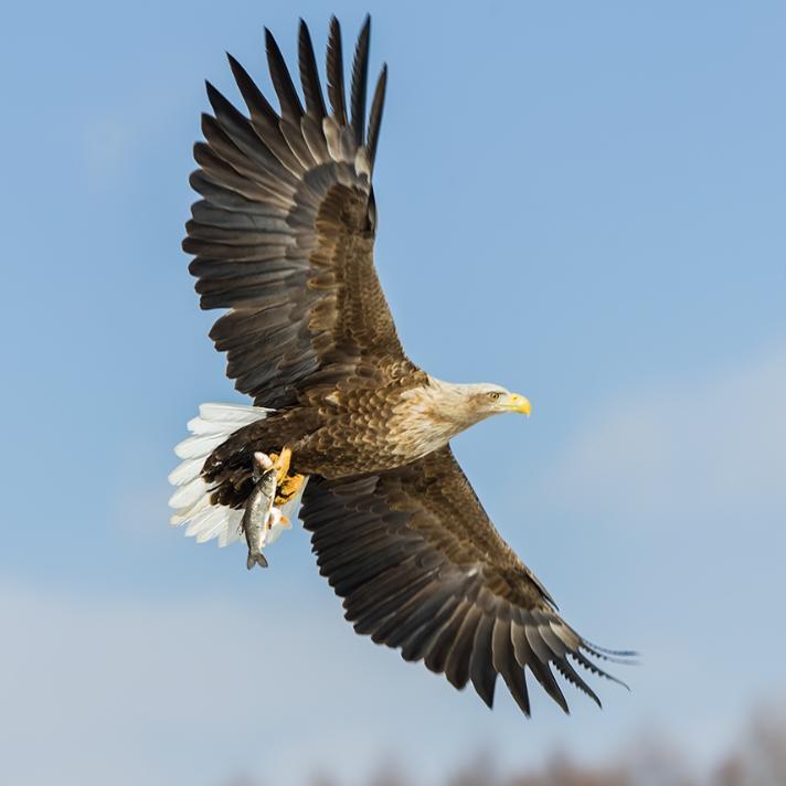 洗车机，脱水机 ，吸尘器