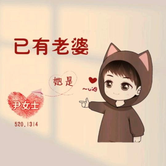 若羌小付重汽维修