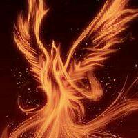 俏俏🐳有笑🐶