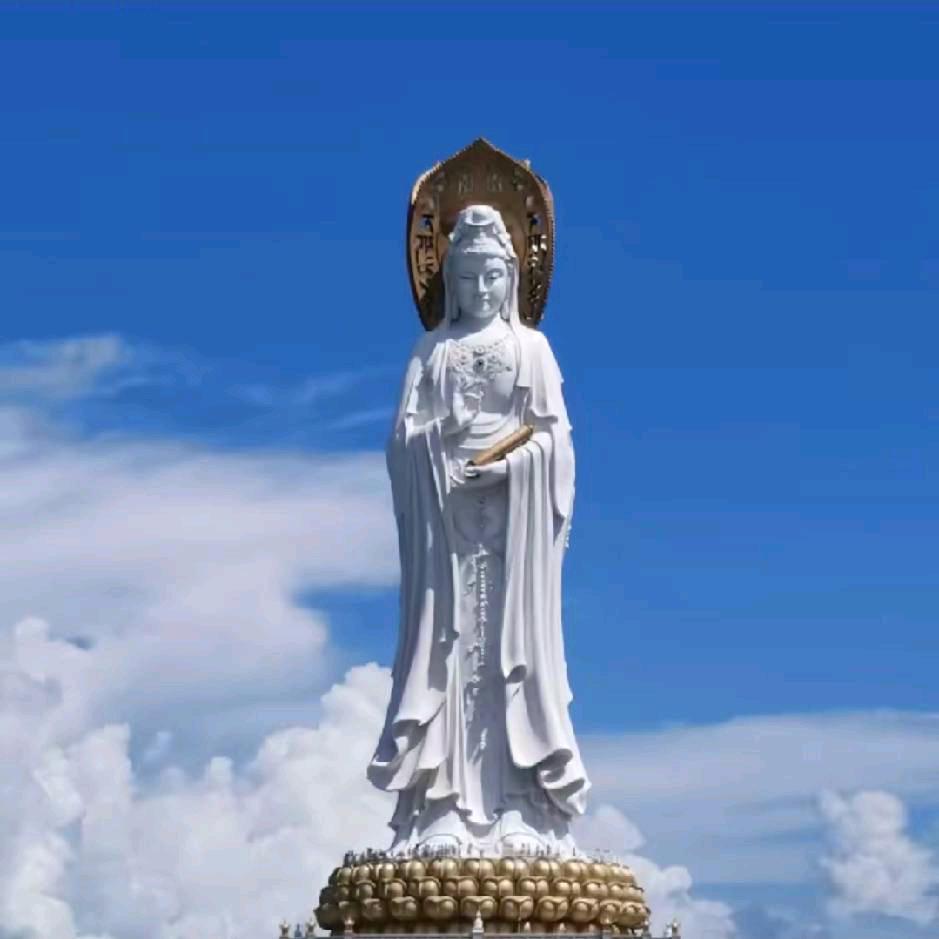 感恩遇见🙏