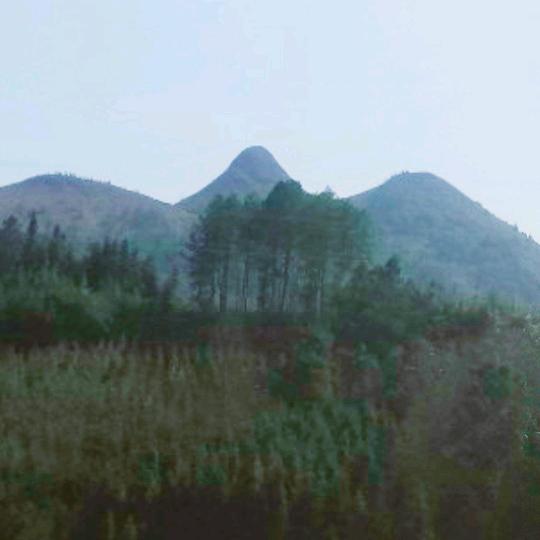 庚子华