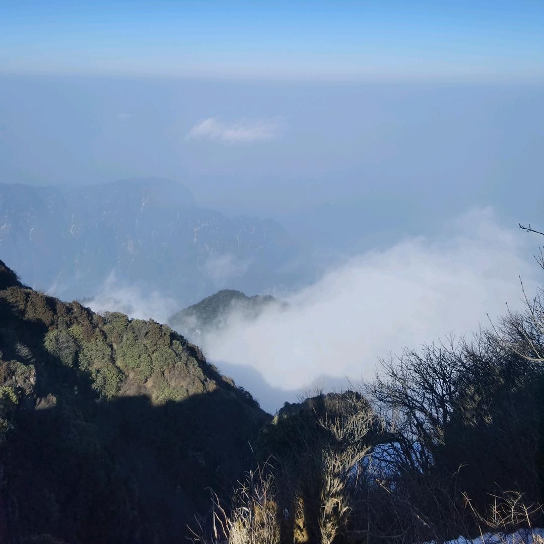 谁的/青春不犯二