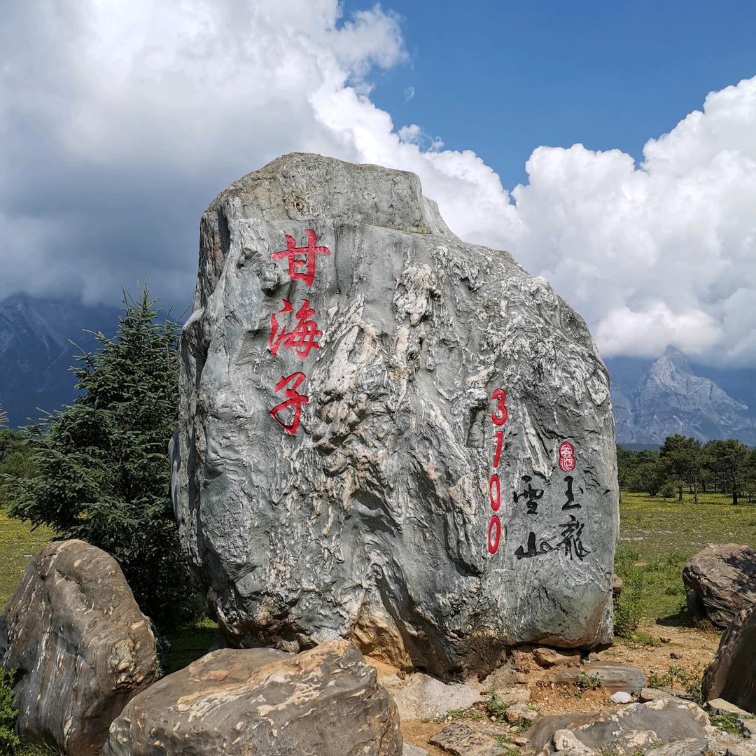 人间最美四月天